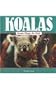 Koala Magic for Kids (Animal Magic for Kids)