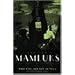 The New Mamluks: Egyptian Society and Modern Feudalism (Middle East Studies Beyond Dominant Paradigms)