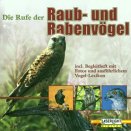 Raub- und Rabenvögel