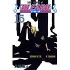 Bleach, Volume 15 (Japanese Edition)