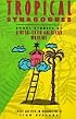 Tropical Synagogues: Short Stories by Jewish-Latin American Writers (Portico Paperback)