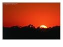 Dawn Over the Tambopata Rainforest, Tambopata-Candama National Park, Madre De Dios, Peru Photographic Poster Print by Alfredo Maiquez, 16x12