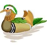 Duck Clip Art & Stock Photo Image CD