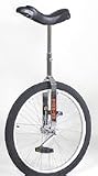 Schwinn 24' Unicycle