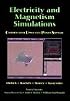Electricity and Magnetism Simulations