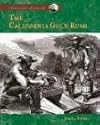 The California Gold Rush (American Moments)