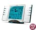 Weather Station, WMS801/WBXS Silver