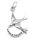 Capistrano Swallow