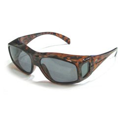 Birdz Eyewear Fitover Polarized UV Sunglasses