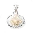 925 Silver & Shell Pendant