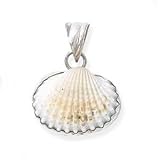 925 Silver & Shell Pendant