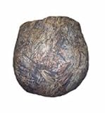 Mossy Oak Duck Blind Bean Bag Chair