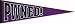 Pwned Pennant