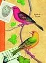 Birding Journal