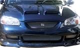 Induction Style Hoods