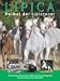 Lipica - Heimat der Lipizzaner.