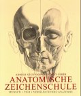 ANATOMISCHE ZEICHENSCHULE: MENSCH. TIER. VERGLEICHENDE ANATOMIE.