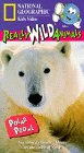 National Geographic Really Wild Animals:  Polar Prowl [VHS]
