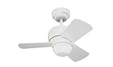 Monte Carlo 3TF24WH Micro 24, 24-Inch 3-Blade, Ceiling Fan, Damp Location, White Motor Finish and White Blades