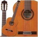 Cordoba C7 CD/IN Acoustic Nylon String Classical Guitar