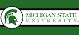 Michigan State Spartans NCAA Licensed 7 H x 15' L Wall Border