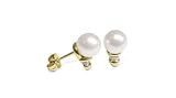 Aria Japanese Akoya Cultured Pearl Earring