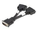 LINDY DMS 59 Male to 2 x DVI-I Female Splitter Cable