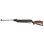 Winchester 1000X air rifle