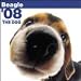   - Beagle 2008 Wall Calendar - Dog Calendars