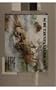 Sch�1/4tzenpanzerwagen: War Horse of the Panzer-Grenadiers (Military History, Vol 56)