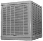 champion swamp coolers:Champion Cooler 4800Cfm Downduct Cooler N43/48D Evaporative (Swamp) Cooler
