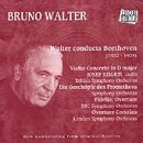 Bruno Walter:The Early Studio Recordings, Vol.1