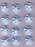 Gourmet Food : Small Blue Drop Flowers