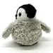 ����ڥ󥮥� �ƥڥ󥮥� �ޥ����å� :  : 