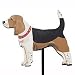 beagle25 - Hand Painted Dog Breed Garden Stake Beagle