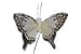 Artificial Feather Butterflies 3 Inch 24 Pieces New