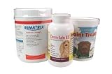 Arthritis Power Pack Level 3