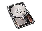 IBM 160 GB Hot Swap Hard Drive - 39M4522