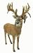 Hunter Dan Lovstuen Buck