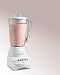 Hamilton Beach 50161N10-Speed Wave-Action Blender, White
