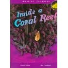 Inside a Coral Reef (Theodorou, Rod. Amazing Journeys.)