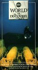Bikini:Forbidden Paradise [VHS]