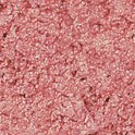 Stargazer Eye Dust No. 32 Soft Golden Shimmering Highlighter Shade [Misc.]
