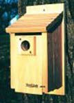 Traditional Bluebird House