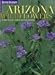 Search : Arizona Wildflowers: A Year-Round Guide to Nature's Blooms (Travel Arizona Collection)