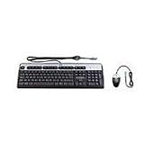 HP PS/2 Keyboard and Mouse Bundle.