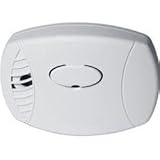 Buy 2.4Ghz Wirless Color Carbon Monoxide Detector Camera