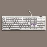 Belkin Standard Keyboard  107 Key PS2 w/power Mgmt Keys (F8E223)