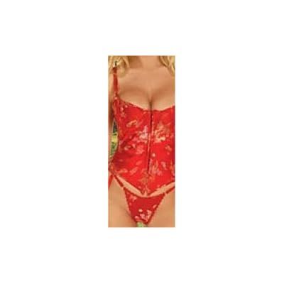 Dragon Print Tapestry Bustier with Lightly Padded Underwire Cups, Hook and Eye Front, Boning, and Waist Cinching Lace Up Back. Matching G-String Included. In Sizes 32-34-36-38-40-42-44 in Red. img