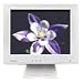 15'' CT1501 Flat Panel
